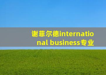 谢菲尔德international business专业